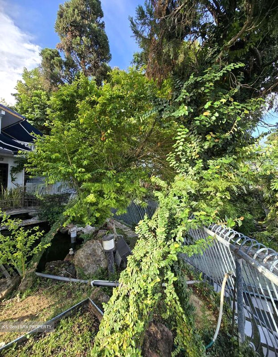 Siglap Road (D15), Detached #502296621